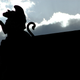 Illustration for article titled Shooting Challenge Silhouettes Gallery 2